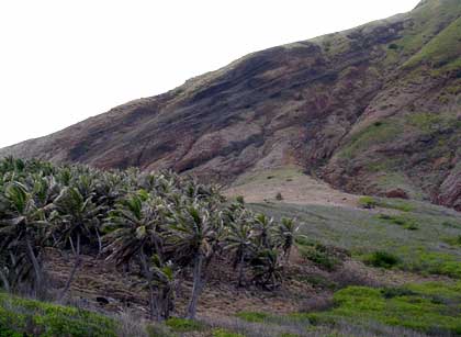 Volcanic deposits