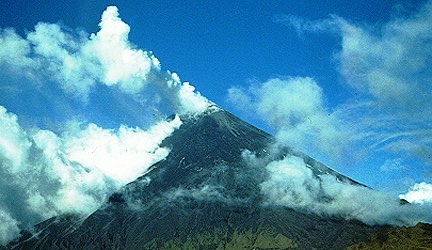 elsangay