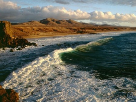 Along the shores