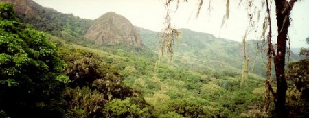 Ascending Mt. Oku