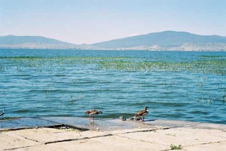 Lake Awassa