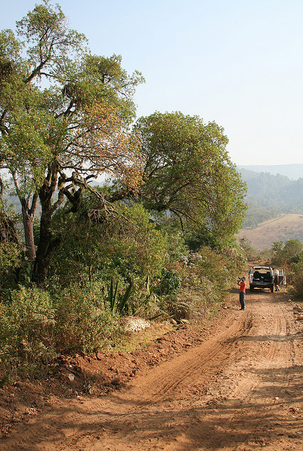 Road to Oku