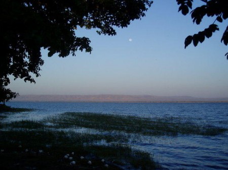Lake Awassa