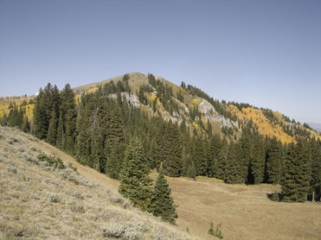 bald knoll by summit post bald knoll by summit post